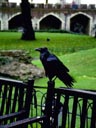 Tower of London