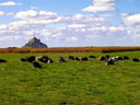 Mont St Michel