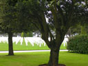 American Military Cemetery