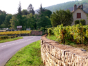 Gevrey-Chambertin