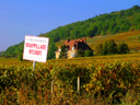 Gevrey-Chambertin