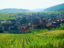 Town from Vineyards