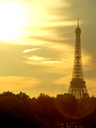 Eiffel Tower from Pont Alexandre III