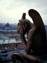 Cathédrale de Notre-Dame Gargoyle