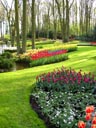 Keukenhof Gardens