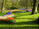 Keukenhof Gardens, Lisse, Holland