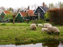 Zaanse Schans, Noord-Holland Province, Holland