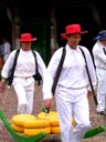 Alkmaar Cheese Market