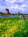 Kinderdijk Windmills, Zuid-Holland Province, Holland