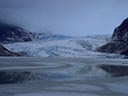 Mendenhall Glacier