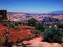 Rim Overlook Trail