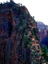 Angel's Landing Trail