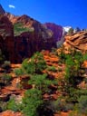 Canyon Overlook Trail