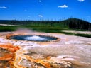 Queen's Laundry Geyser Basin