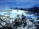 Mammoth Hot Springs