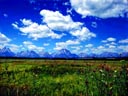 Grand Tetons