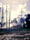 Norris Geyser Basin